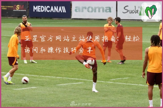 亚星官方网站主站使用指南：轻松访问和操作技巧分享