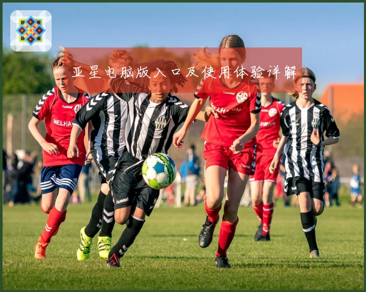 亚星电脑版入口及使用体验详解