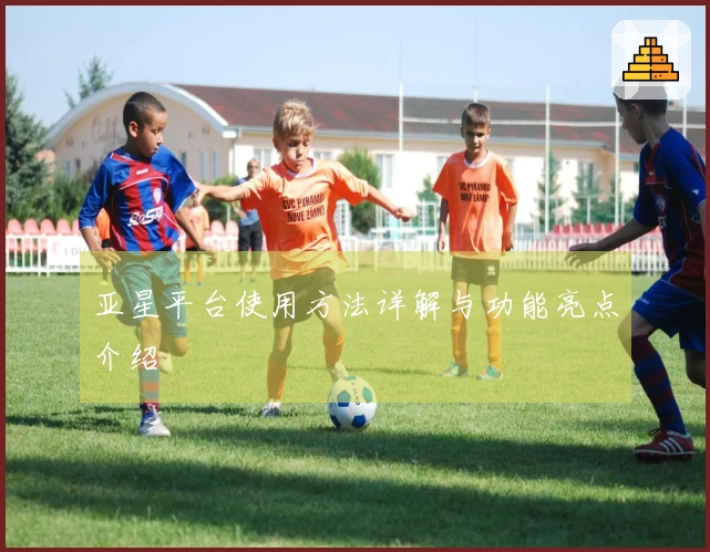 亚星平台使用方法详解与功能亮点介绍