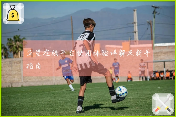 亚星在线平台使用体验详解及新手指南