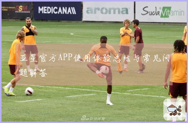 亚星官方APP使用体验总结与常见问题解答